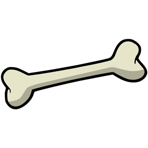 Bone PNG-46832